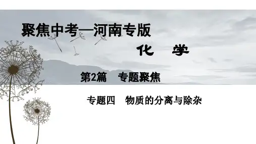 物质的分离与除杂PPT课件
