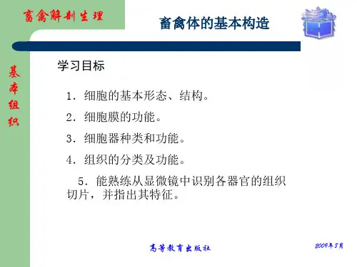 畜禽解剖生理第一章畜禽体的基本构造PPT课件