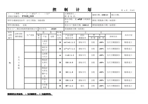 全尺寸检验,功能试验