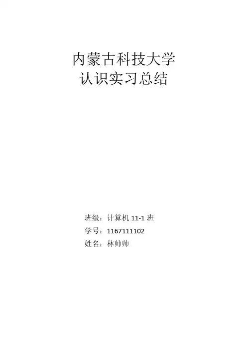 1167111102-林帅帅