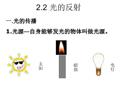 八年级物理光的反射1