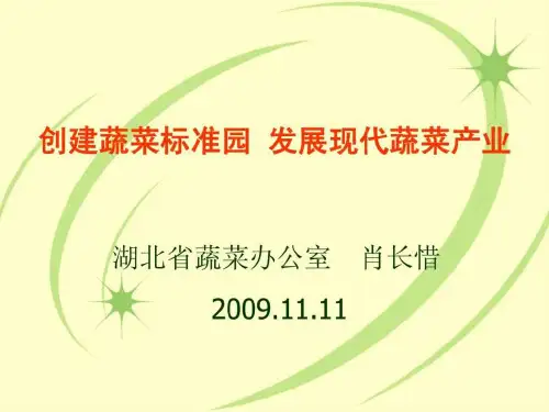 创建蔬菜标准园 发展现代蔬菜产业