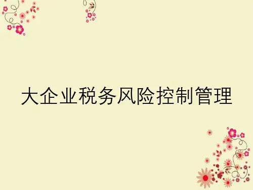 大企业税务风险控制管理