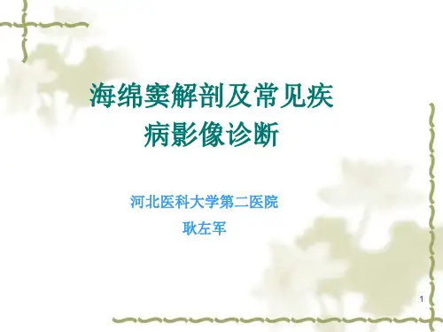 海绵窦解剖和常见疾病影像诊断