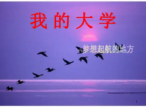 丰富多彩的大学生活 (课堂PPT)