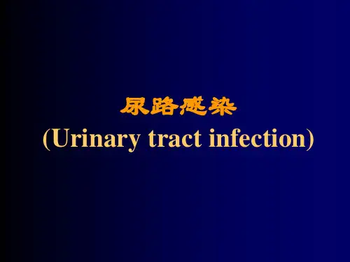 尿路感染PPT完整版本