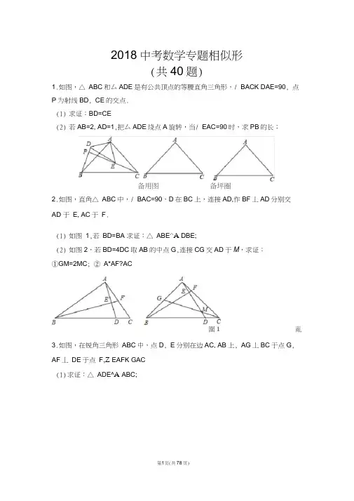 2018中考专题相似三角形