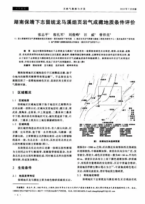 湖南保靖下志留统龙马溪组页岩气成藏地质条件评价