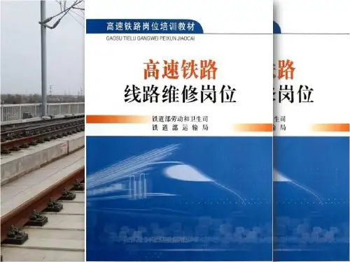 高速铁路道岔课件.