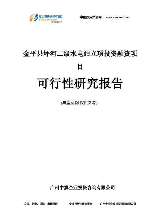 金平县坪河二级水电站融资投资立项项目可行性研究报告(非常详细)