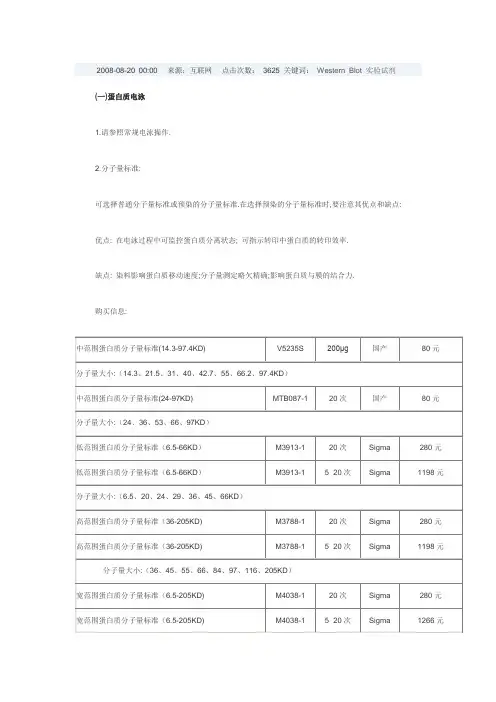 Western Blot 实验试剂选购指南
