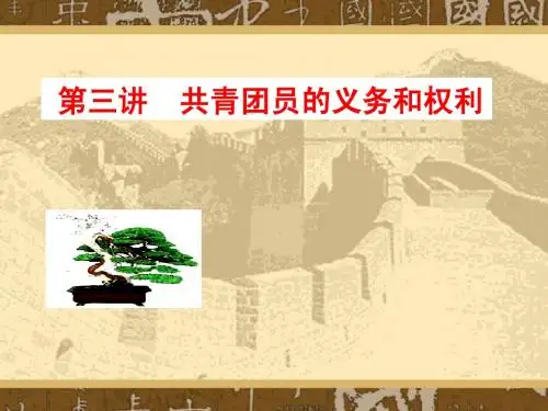 第三讲 团员的权利和义务