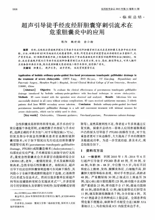 超声引导徒手经皮经肝胆囊穿刺引流术在危重胆囊炎中的应用