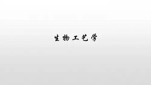 《生物工艺学》动物细胞培养  ppt课件