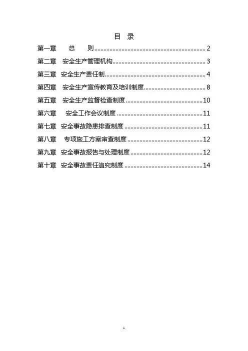 总监办安全管理制度.doc