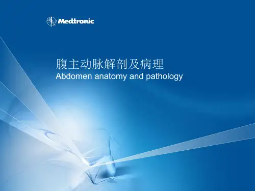 腹主动脉解剖及病理PPT课件