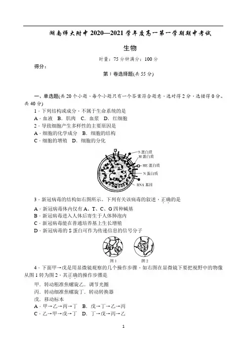 湖南师大附中2020-2021学年高一上学期期中考试生物试卷 Word版含答案