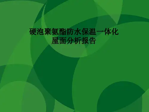 硬泡聚氨酯防水保温一体化分析报告.ppt