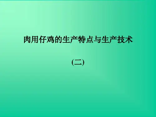 肉用仔鸡的生产特点与生产技术 (二)