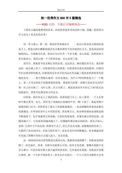初一优秀作文800字5篇精选