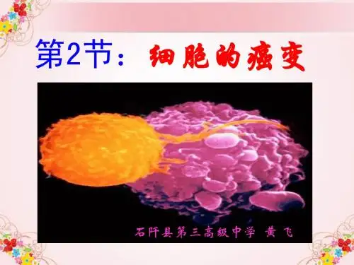 第2节：细胞的癌变