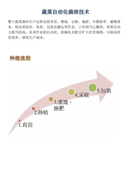 蔬菜自动化栽培技术种植流程