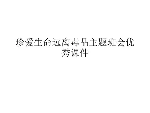 珍爱生命远离毒品主题班会优秀课件