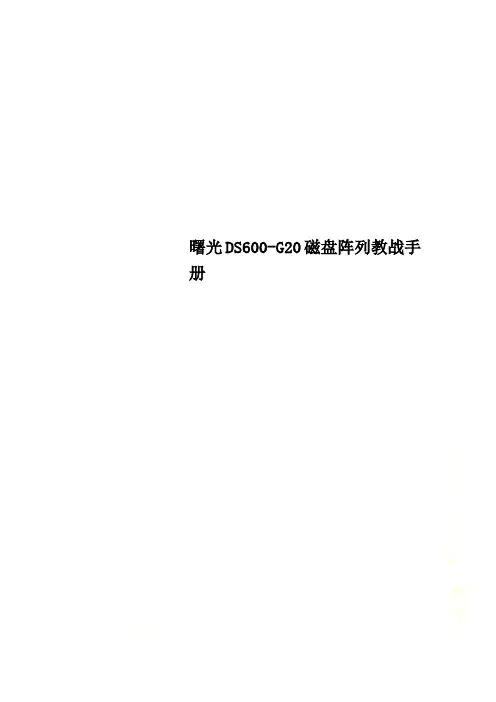 曙光DS600-G20磁盘阵列