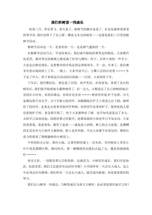 我们和树苗一同成长优秀作文征文