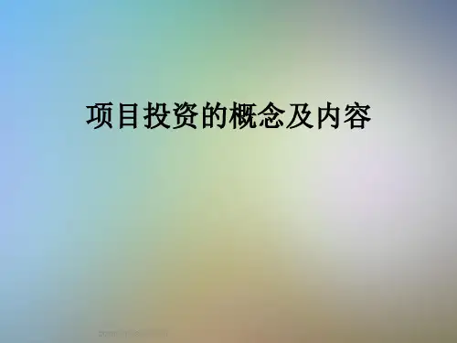 项目投资的概念及内容