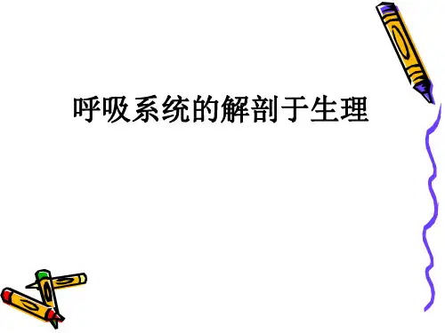 呼吸系统的解剖与生理