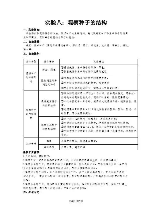 实验八 观察种子的结构