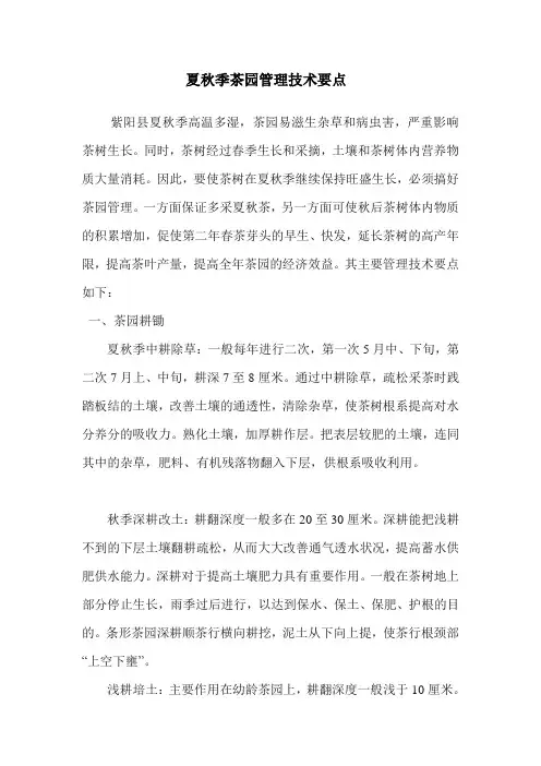 夏秋季茶园管理技术要点