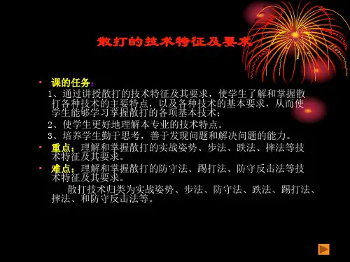 散打的技术特征及要求