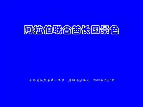 阿拉伯联合酋长国景色