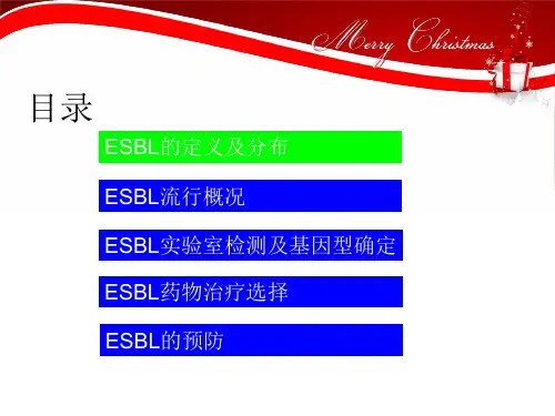 浅述超广谱内酰胺酶