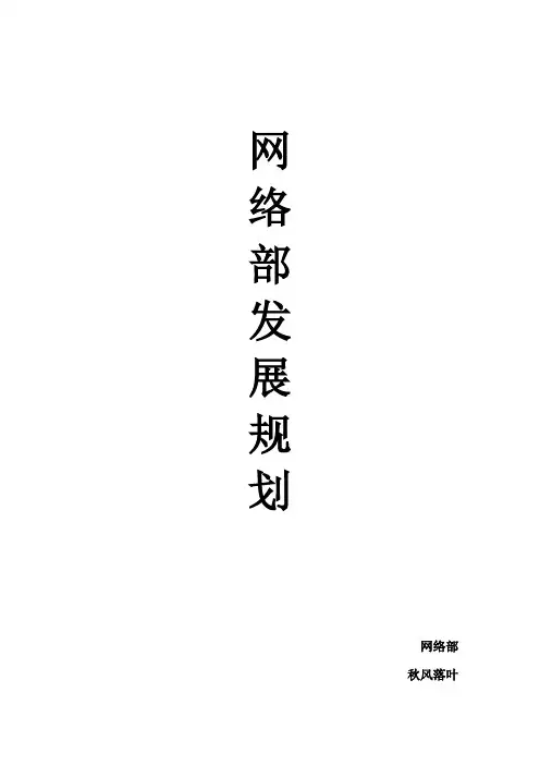 网络部未来发展规划