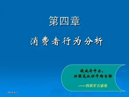 第四章 消费者行为分析