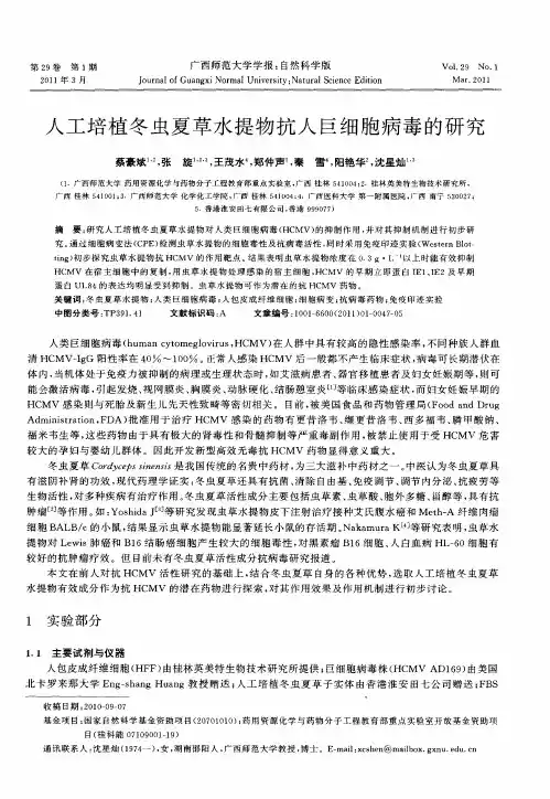 人工培植冬虫夏草水提物抗人巨细胞病毒的研究