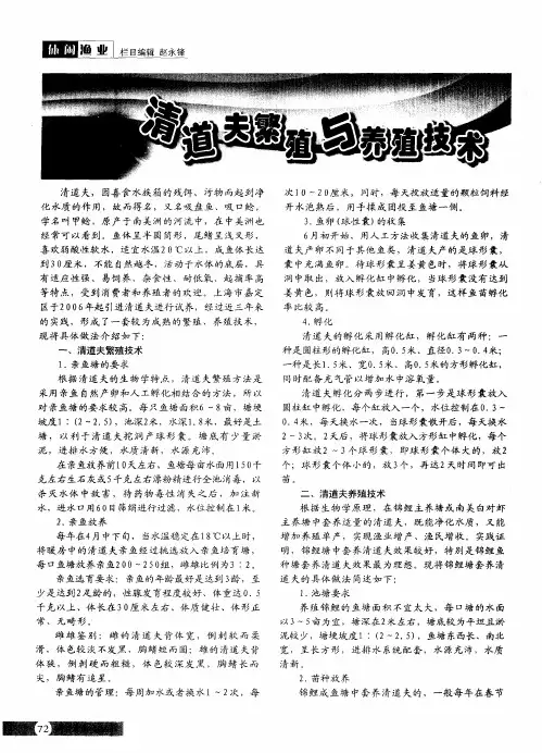 清道夫繁殖与养殖技术