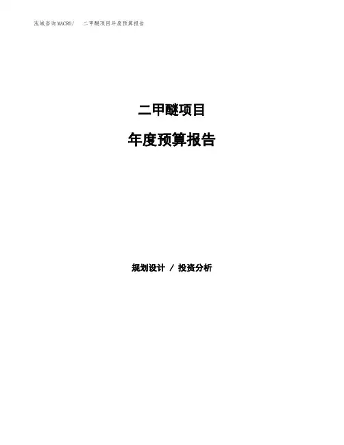 二甲醚项目年度预算报告