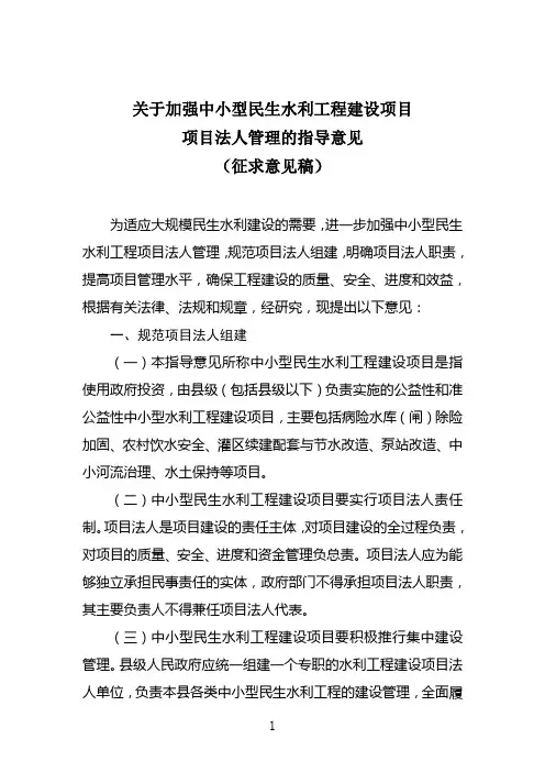 关于加强中小型民生水利工程建设项目