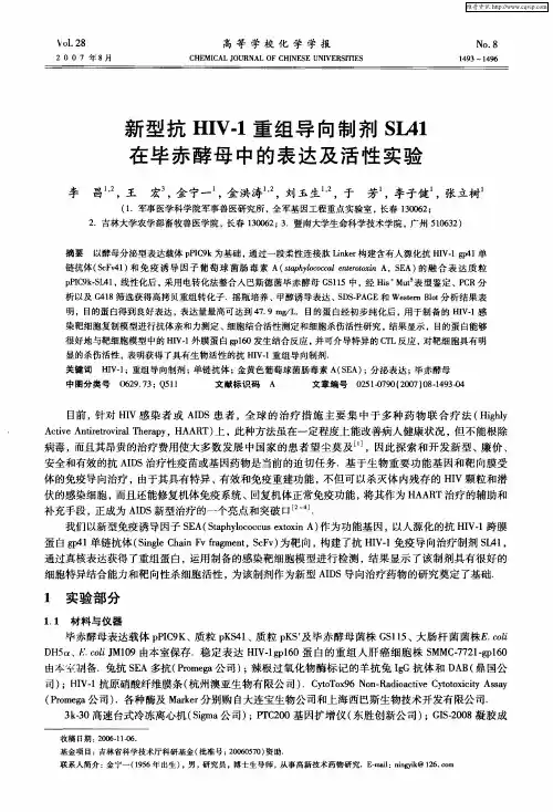 新型抗HIV-1重组导向制剂SL41在毕赤酵母中的表达及活性实验