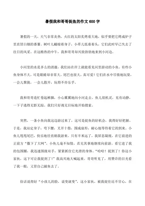 暑假我和哥哥捉鱼的作文600字