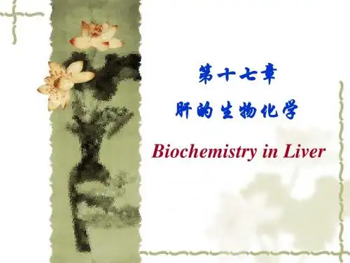肝的生物化学
