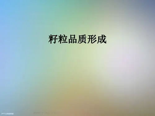 籽粒品质形成