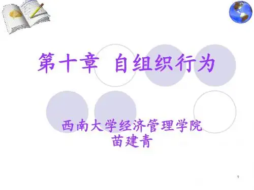 企业行为:自组织行为