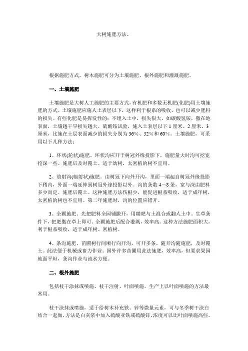 大树施肥方法