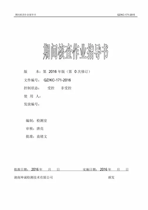期间核查作业指导书课件.doc