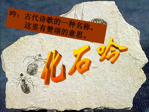 七年级语文《化石吟》ppt课件